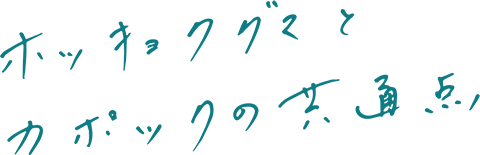 ホッキョクグマとカポックの共通点